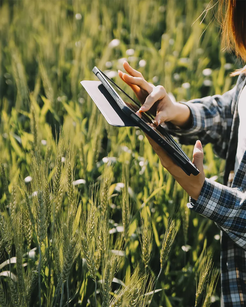 Solutions électroniques connectées pour l’agriculture : cartes robustes et capteurs embarqués EMKA